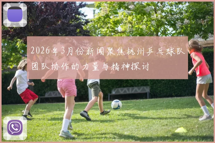 2026年3月份新闻聚焦杭州乒乓球队团队协作的力量与精神探讨